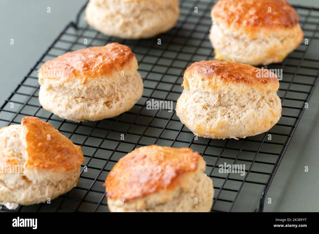Sechs frisch gebackene traditionelle Scones kühlen auf einem Drahtgestell, das gerade aus dem Ofen genommen wurde. Die leckeren Kuchen-Leckereien sind gut aufgegangen Stockfoto