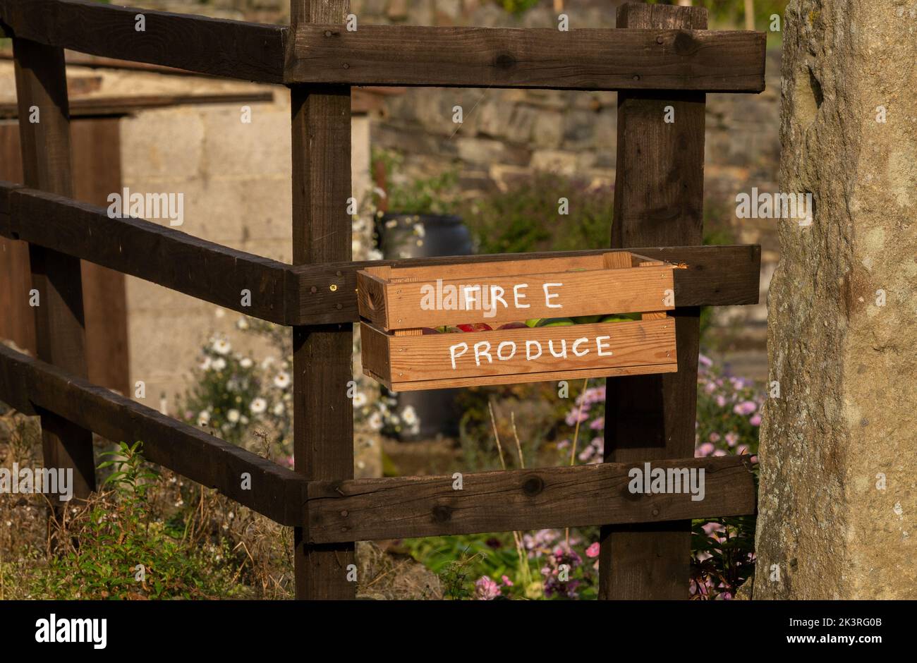 Eine Holzkiste, die an einem Zaun in Yorkshire, England, befestigt ist. Die Schachtel enthält überschüssige Äpfel, die jedem Passanten kostenlos angeboten werden. Stockfoto