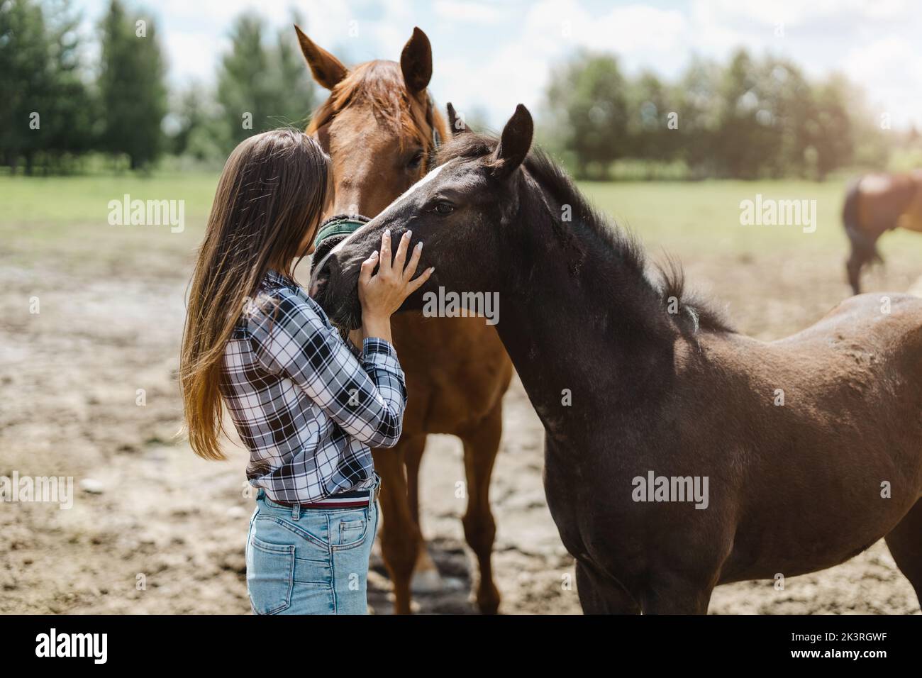 Junge Frau, die mit ihren Pferden auf dem Feld steht Stockfoto