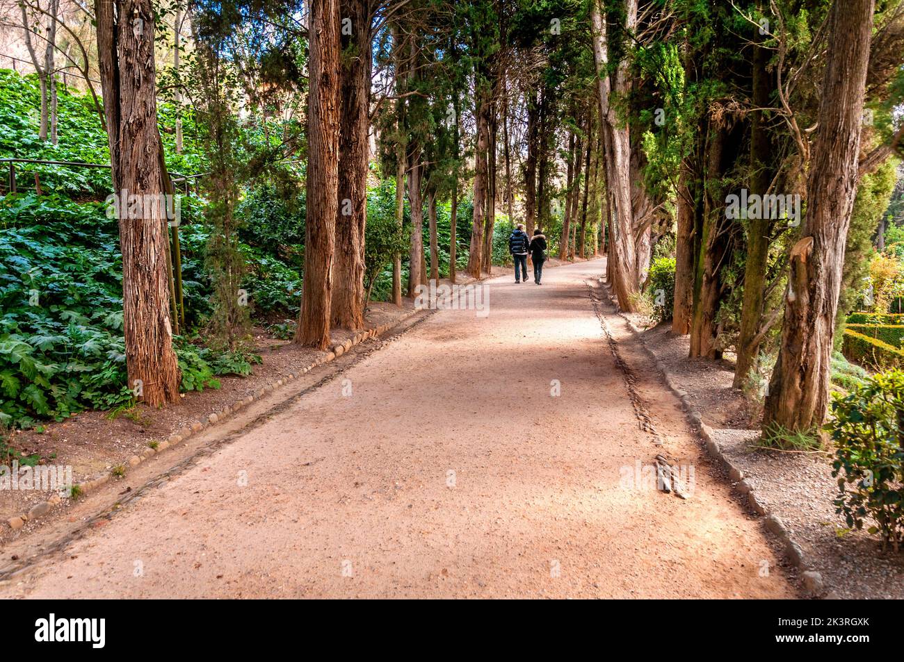 Die Alhambra in Granada, Spanien. Spazieren Sie durch einen der Gärten. Stockfoto