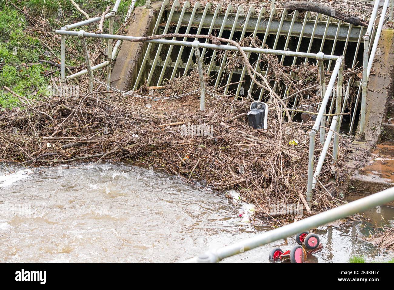 Die Blockierung des Managements im öffentlichen Park in Großbritannien verhindert, dass Rückstände den Wasserfluss behindern und verringert das Hochwasserrisiko im Bereich der Standorte. Stockfoto