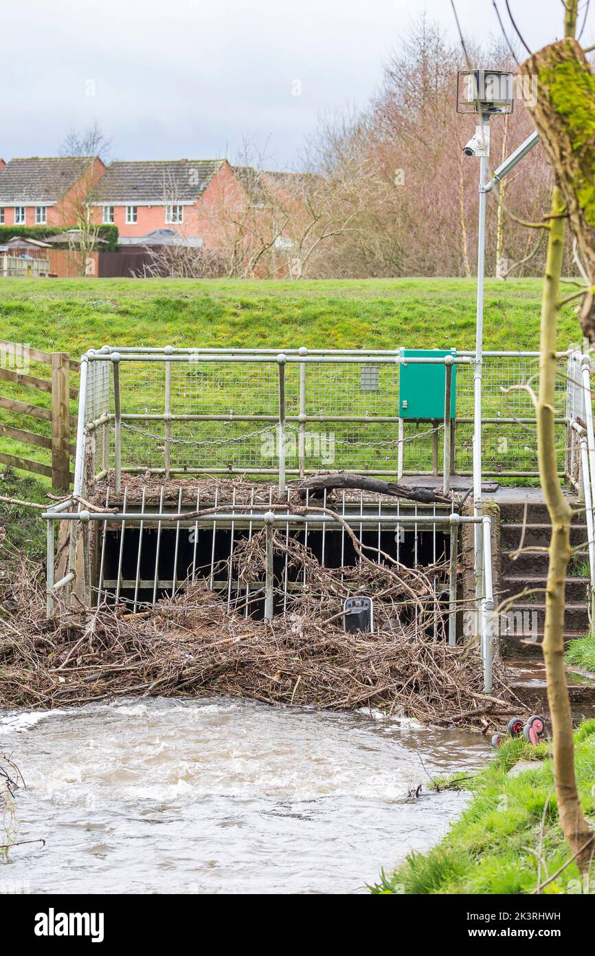 Die Blockierung des Managements in einem öffentlichen Park in Großbritannien verhindert, dass Rückstände den Wasserfluss behindern, und verringert das Hochwasserrisiko in der Region. Stockfoto