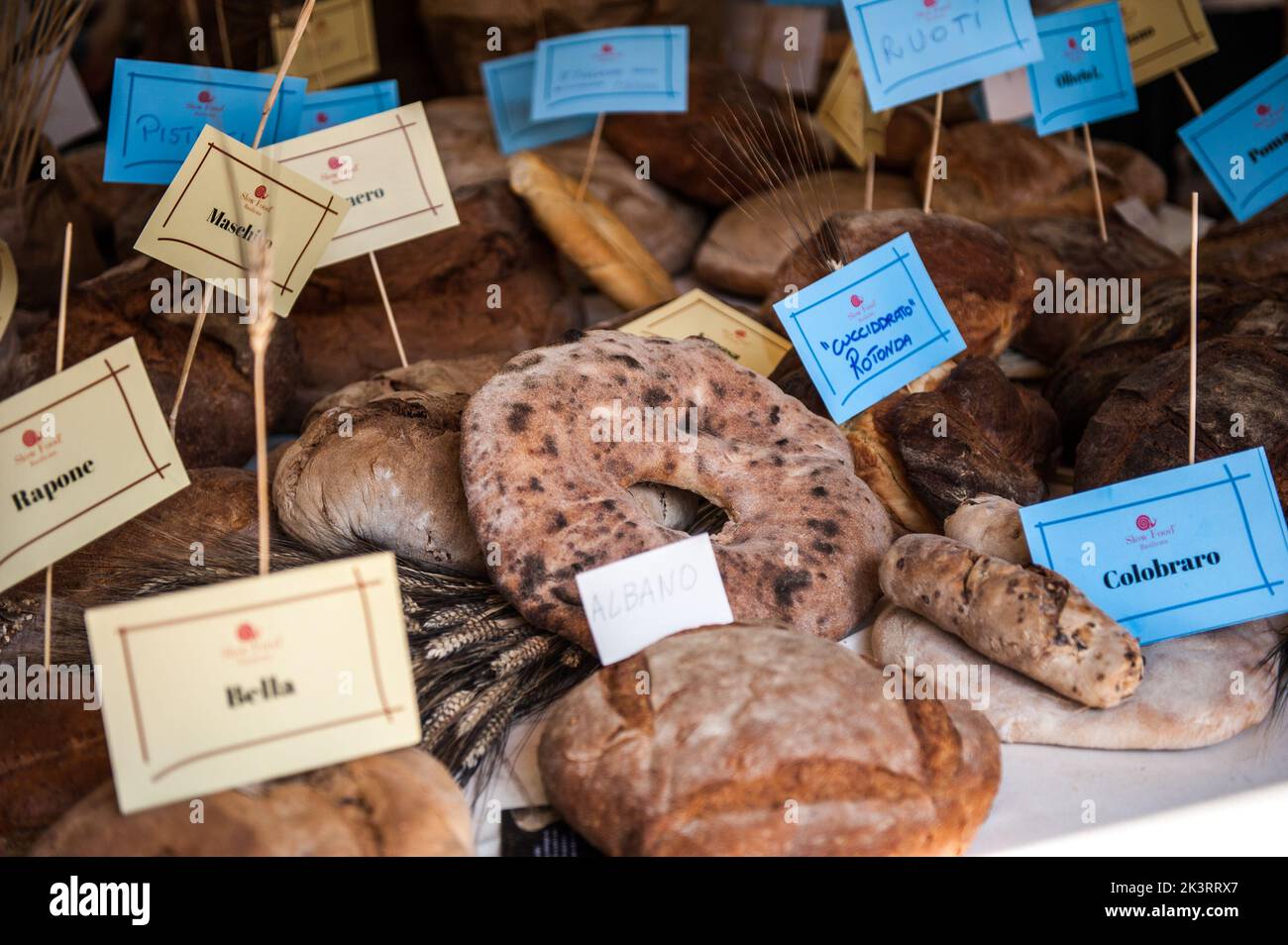 Eine Auswahl an Broten aus Basilikata im Terra Madre Salone del Gusto 2022 Stockfoto