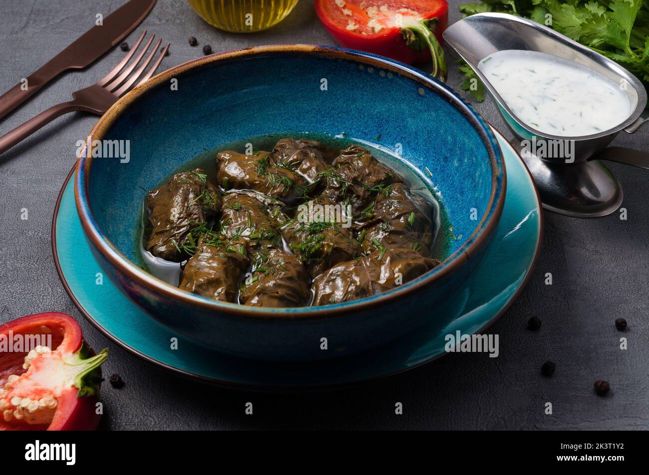 Leckere Dolma mit Fleisch in Traubenblatt und Kefir-Sauce Stockfoto