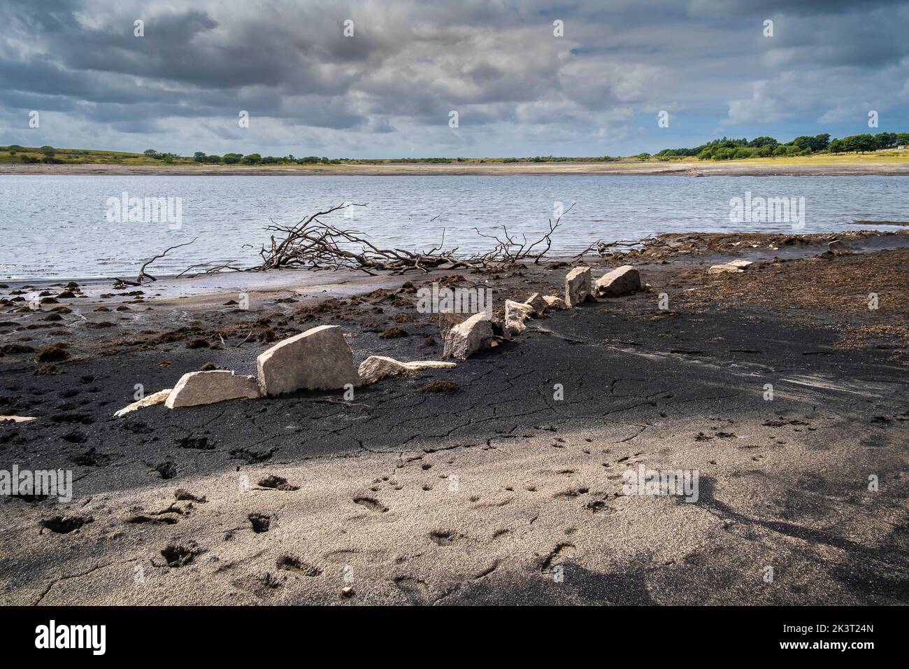 Rückläufige Küstenlinie durch sinkende Wasserstände während schwerer Trockenheit im Colliford Lake Reservoir auf Bodmin Moor in Cornwall im Vereinigten Königreich. Stockfoto