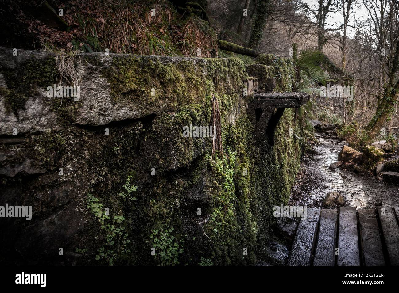 Ein rauer Fußweg durch die Überreste der Gebäude, die für die Herstellung von Schießpulver im historischen Naturreservat Kennall Vine in Ponsanooth i verwendet wurden Stockfoto