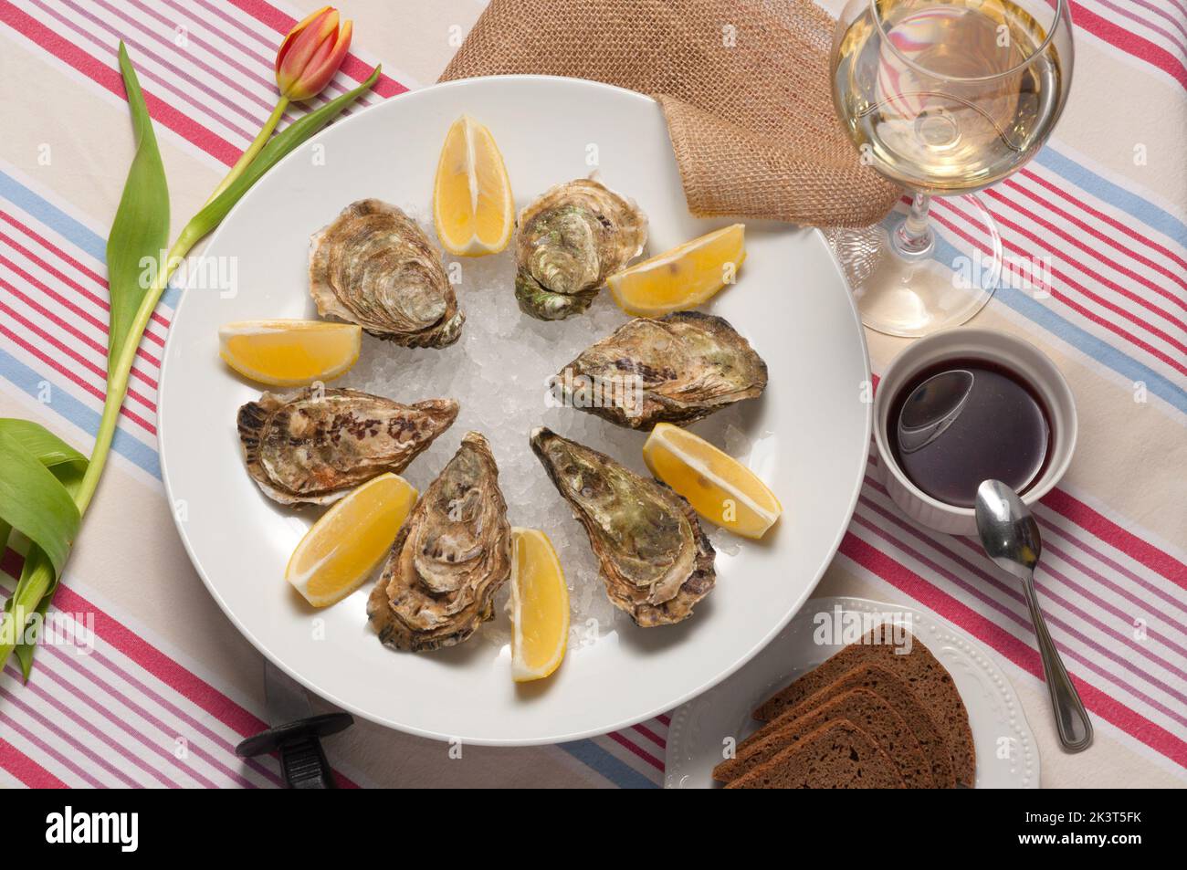 Leckere Austern mit Zitrone, Weißwein und Sauce. Draufsicht Stockfoto
