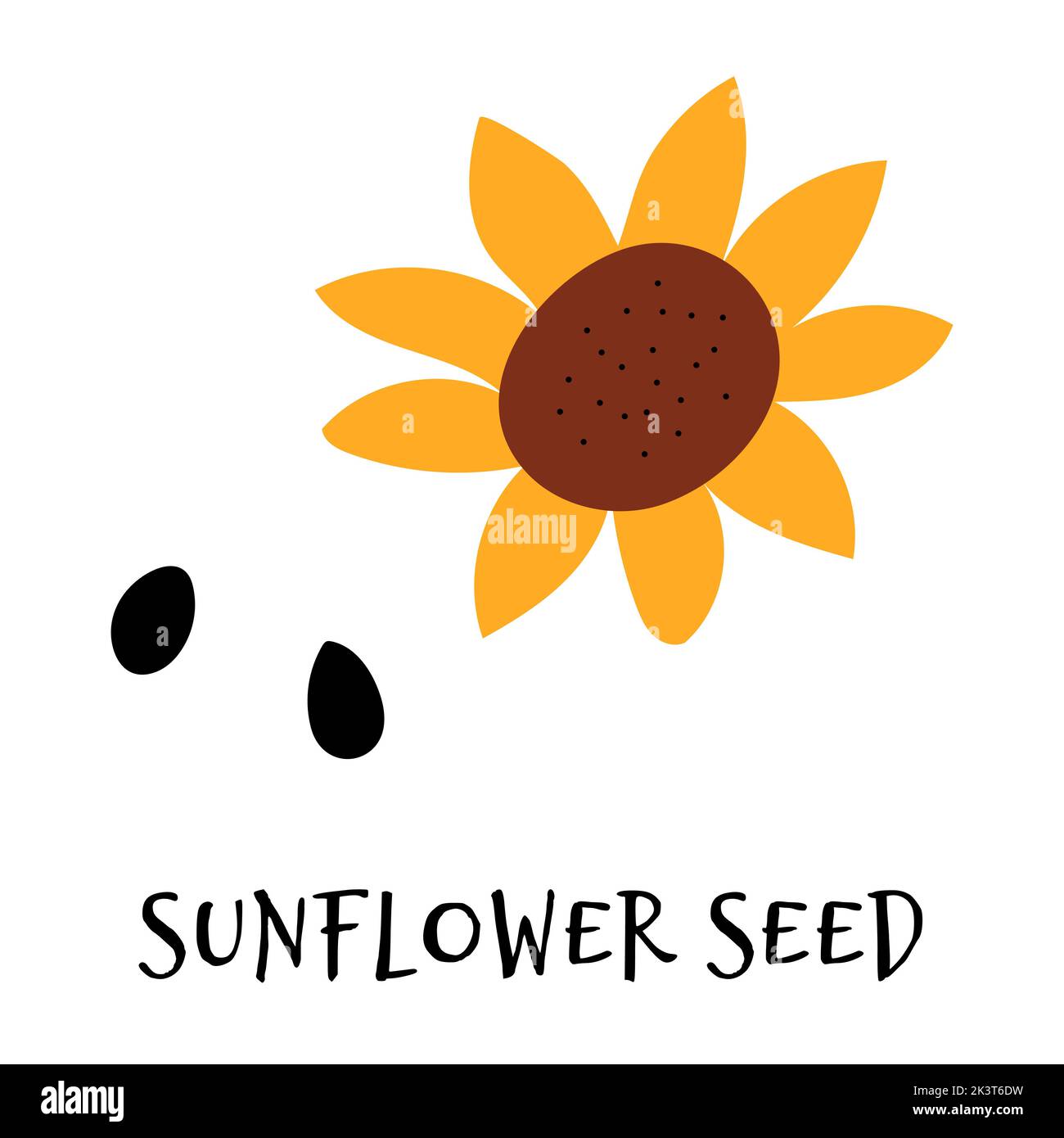 Vektor-Illustration von Sonnenblumenkernen in Hand gezeichnet flach Stil. Doodle frische gesunde Lebensmittel Stock Vektor