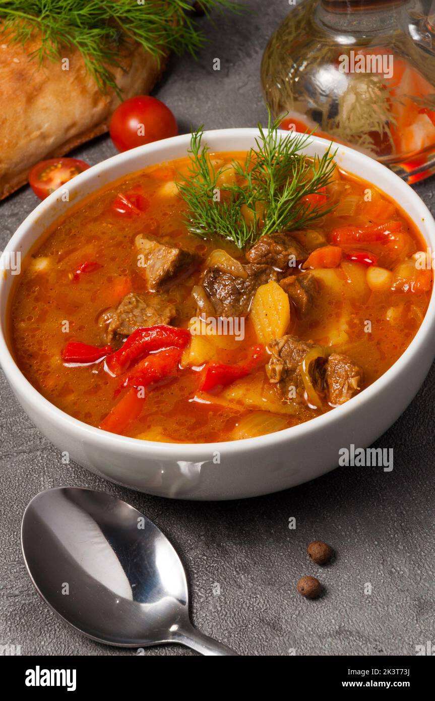 Mastava Suppe - usbekischen Reissuppe. Zentralasien-Küche Stockfoto