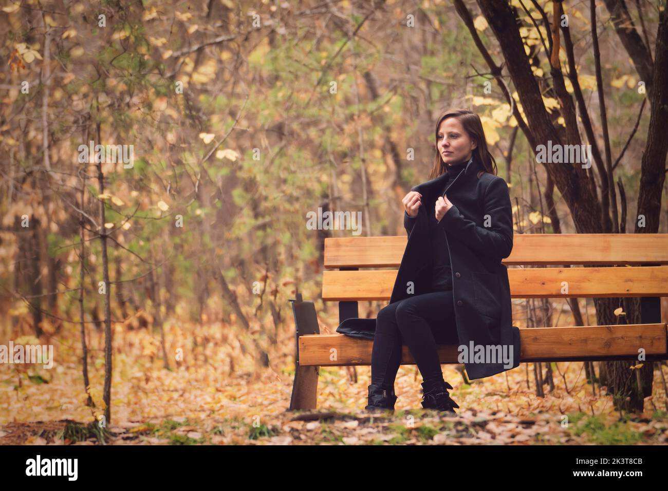 Schöne junge Frau auf einer Parkbank. Schöner und gemütlicher Herbst, rauschende Blätter unter den Füßen, lyrische Herbststimmung kopieren Raum. Stockfoto