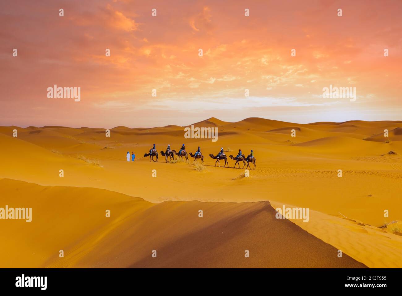 Touristische Kamelkarawane in der Sahara, Marokko Merzouga Stockfoto