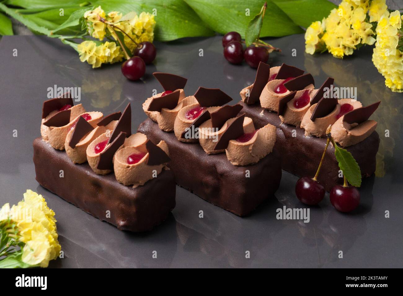 Zarte Schokolade Biskuit Textur kombiniert mit Süßkirschgel, Schokoladencreme und Kirsche in Rum getränkt Stockfoto
