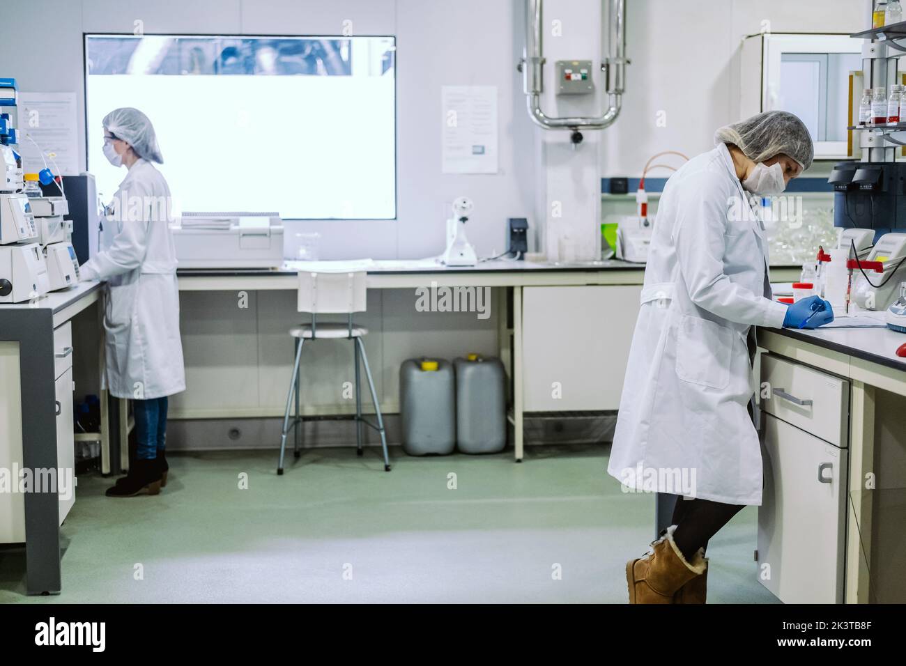 Seitenansicht von jungen Biologen, die im Labor experimentieren. Stockfoto