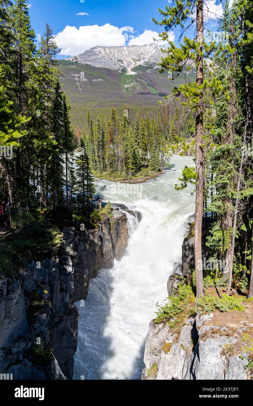 Sunwapta Falls Wasserfall im Jasper National Park Stockfoto