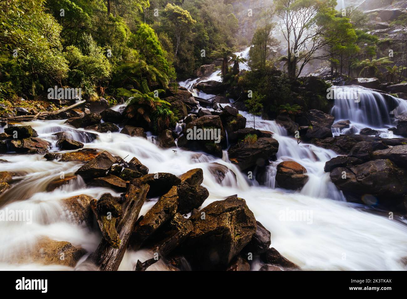 St. Columba Falls in Tasmanien, Australien Stockfoto