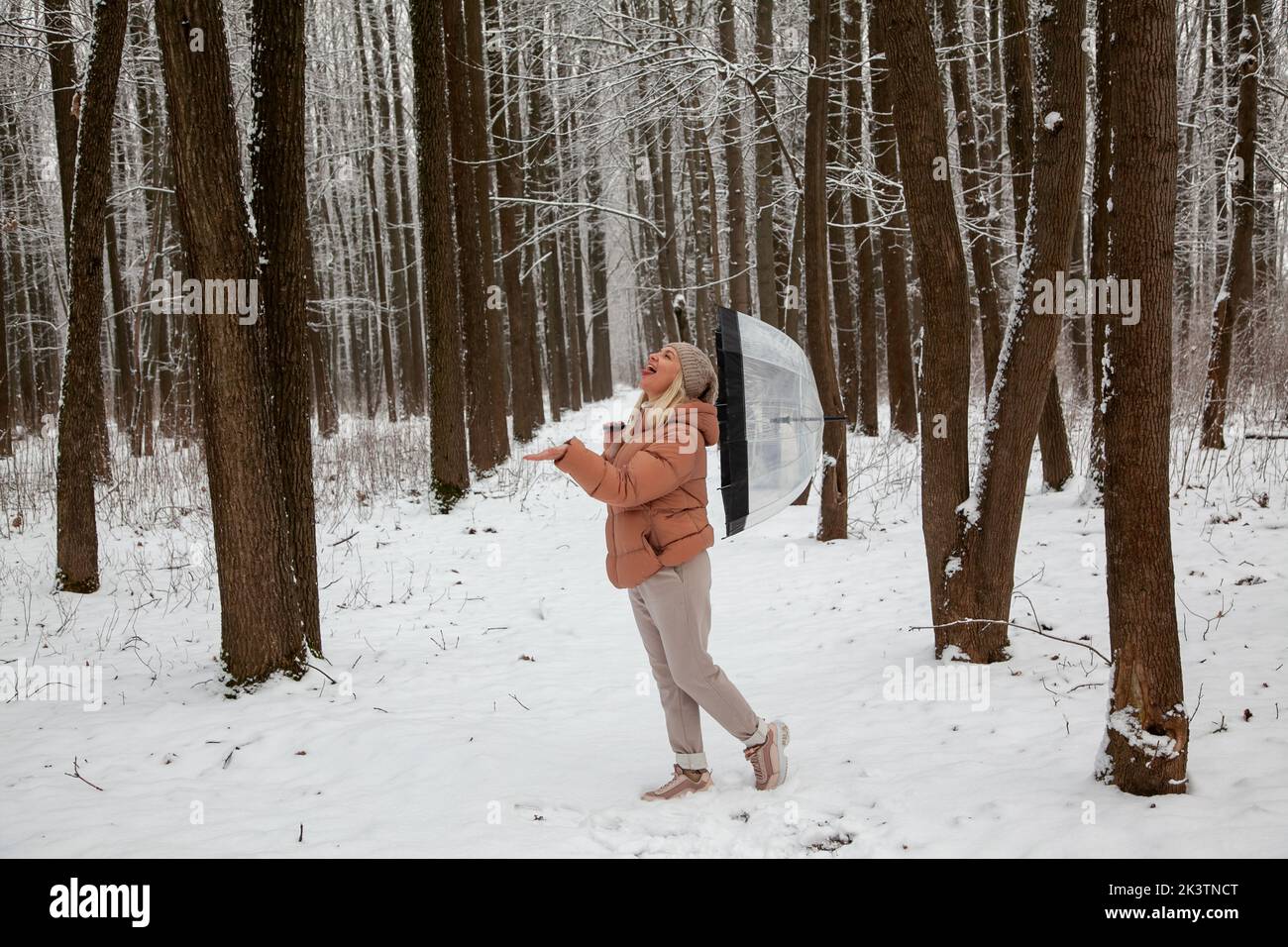 Eine junge Frau steht in einem Kiefernwald mit einem transparenten Regenschirm und ragt ihre Zunge heraus, um Schneeflocken zu fangen. Stockfoto