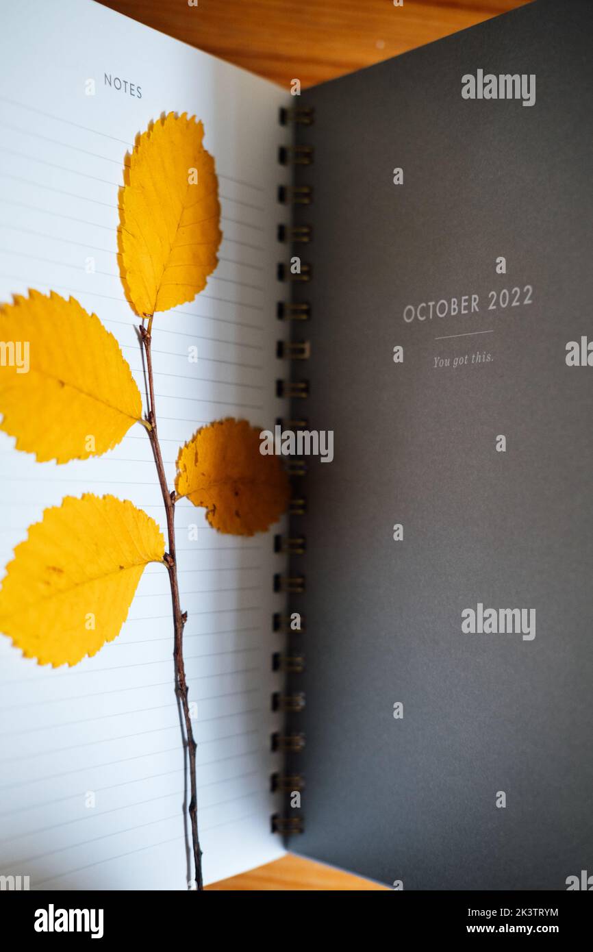 Oktober 2022 Planseite im offenen Notizbuch Organizer Kalender mit trockenen Herbstblättern. Herbstplanung und Zeitplan für Oktober. Selektiver Fokus Stockfoto