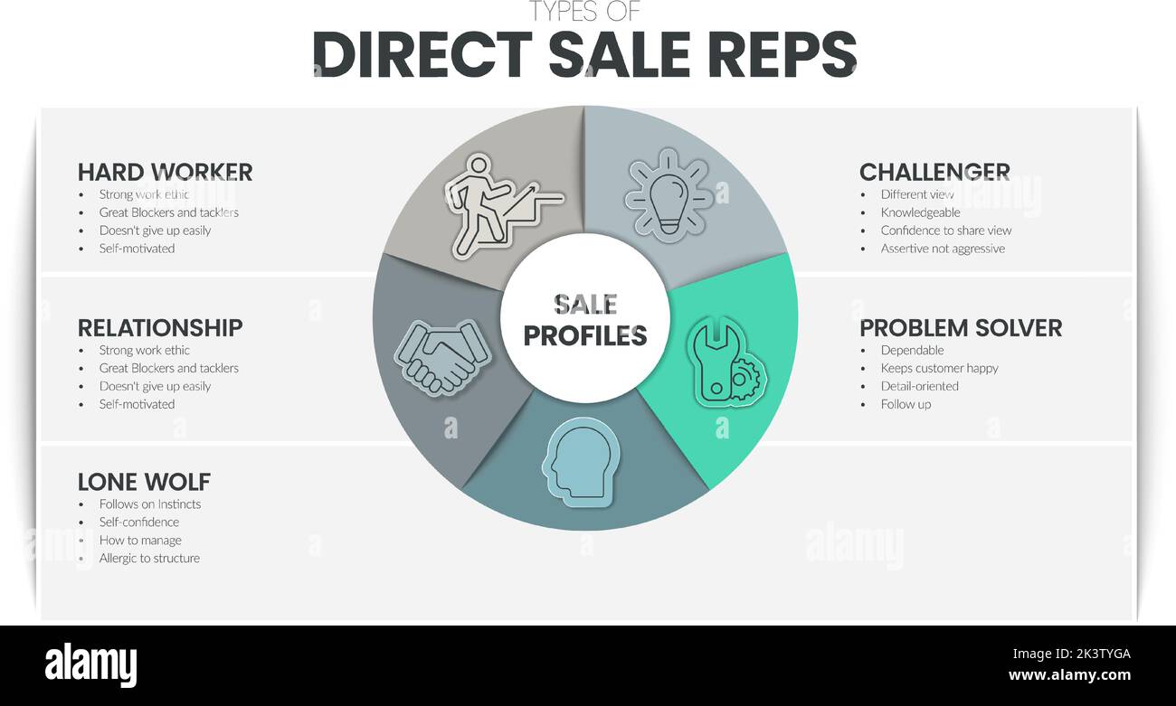 Arten von Direct-Sale-VERTRETER Analyse Infografik Vorlage hat 5 Schritte zu analysieren, wie harte Arbeiter, Beziehung, einsamer Wolf, Herausforderer und Problem so Stock Vektor