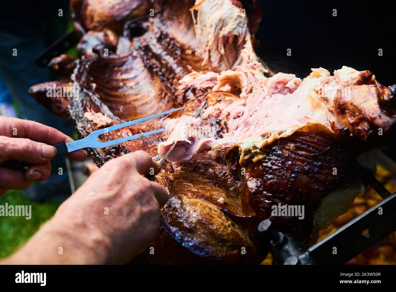 Der Koch schneidet das ganze gegrillte Schweinefleisch für Steaks mit einem Messer. Vom Schwein gegrillte traditionelle Kohle und Feuer. Das kleine Ferkel wird ganz auf einem offenen Feuer geröstet Stockfoto