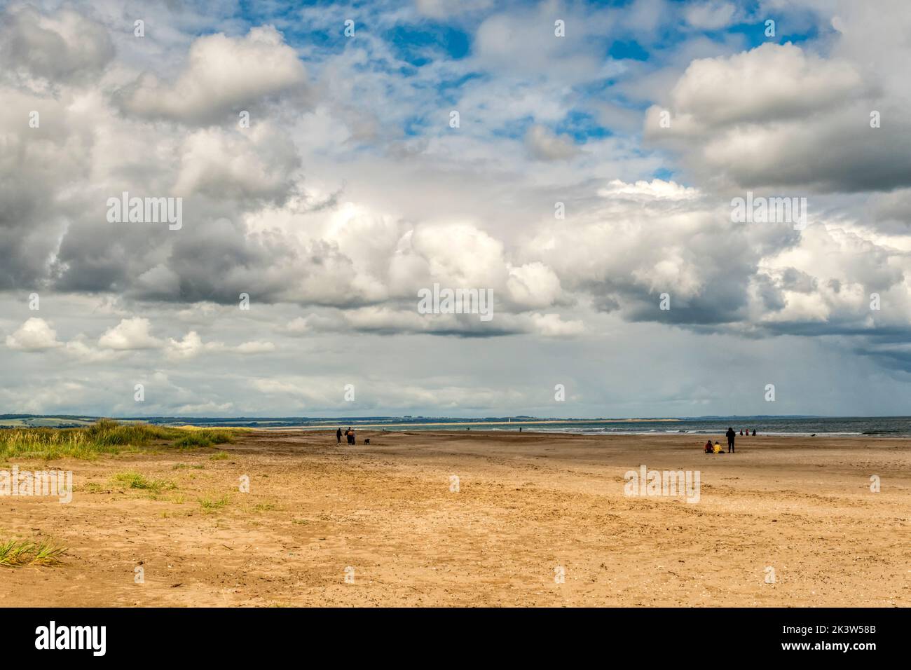 Blick nach Norden entlang der Tentsmuir Sands in Fife, Schottland. Stockfoto
