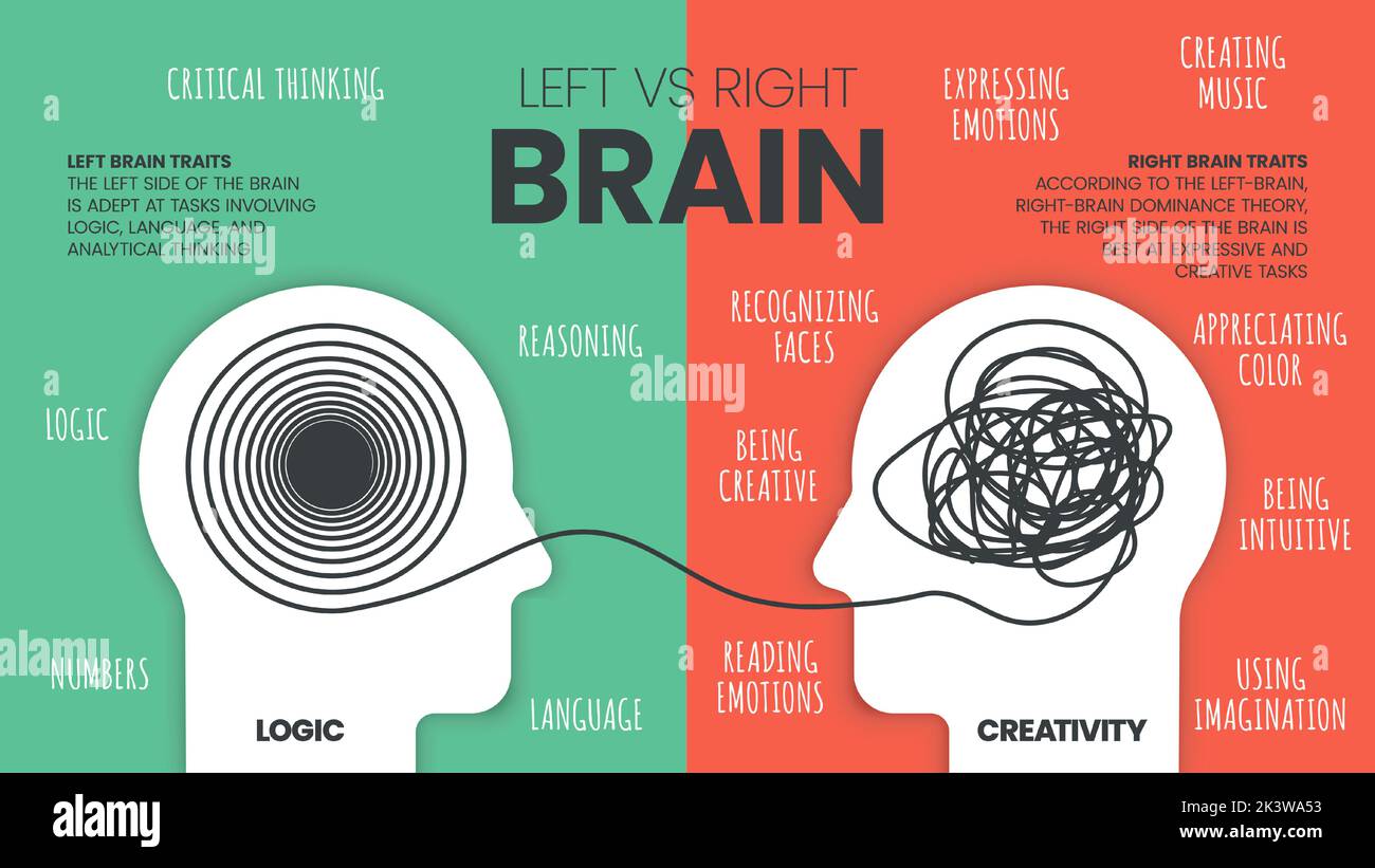 Infografik: Linkes Gehirn vs. Rechtes Gehirn – Dominanz. Wie das menschliche Gehirn funktioniert Theorie. Kreative Menschen haben sich mit den richtigen und analytischen Denkern lef angestrengt Stock Vektor