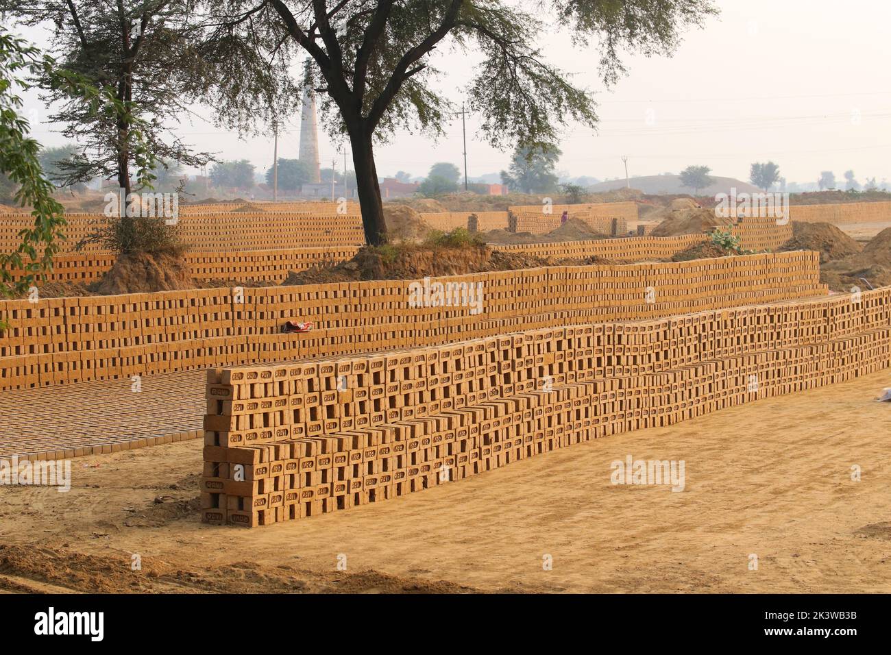 Rewari, Haryana/Indien - Herstellung von Ziegelsteinen. Roher Ziegel, der in Stapeln zum Trocknen ausgelegt ist. Stockfoto