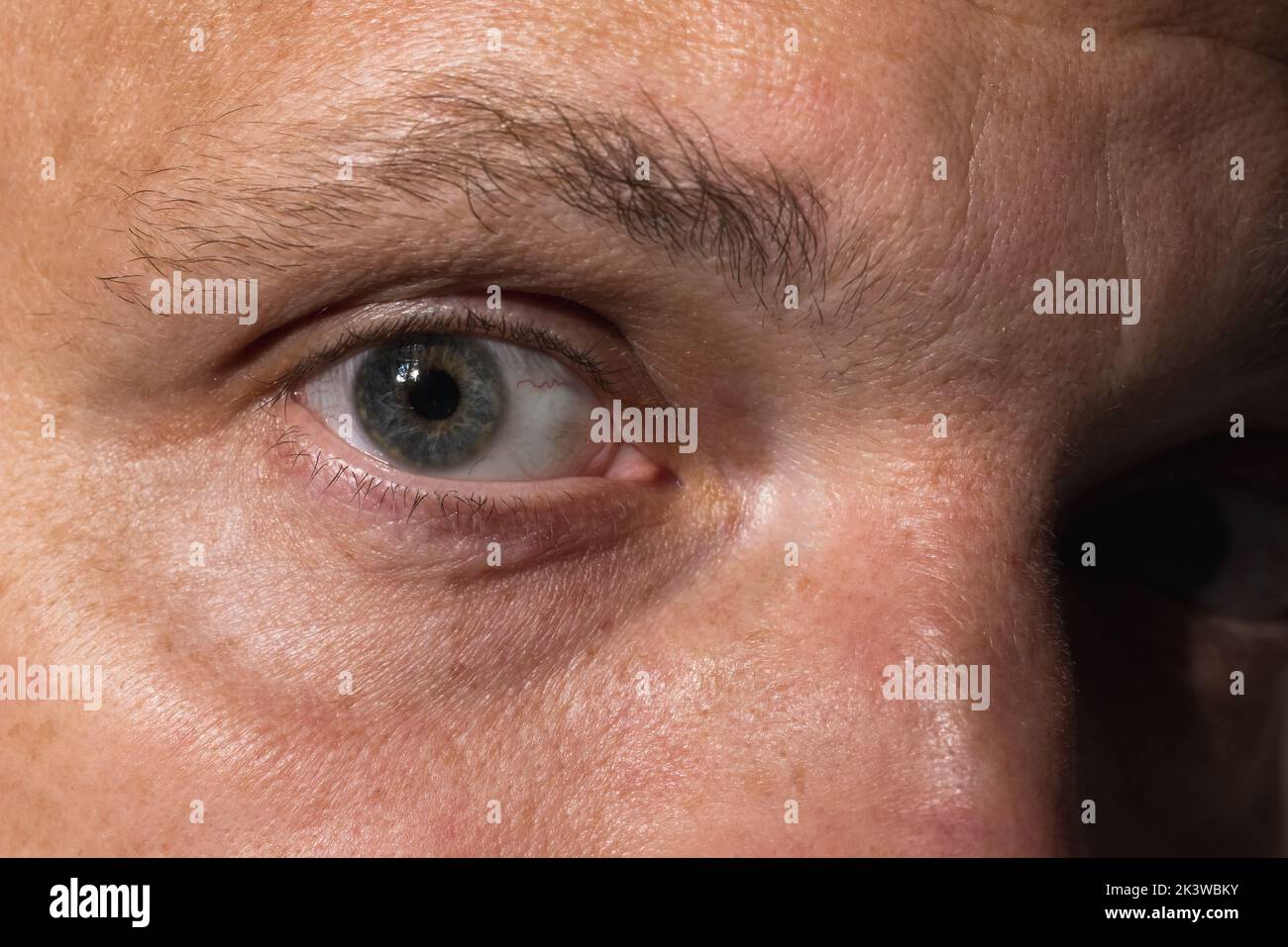 Nahaufnahme eines kaukasischen männlichen Auges Stockfoto