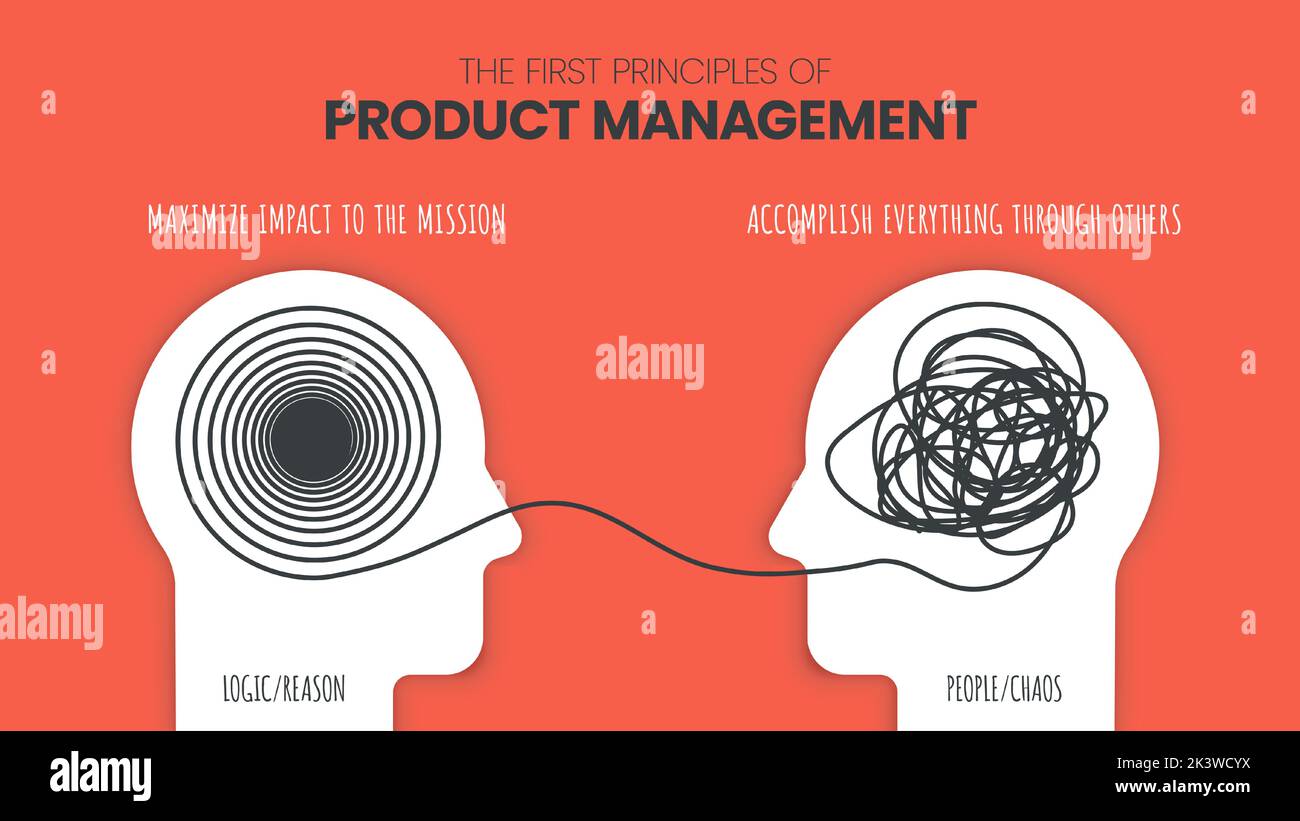 Konzept der Produktmanagementprinzipien (PMs). Infografik: Linkes Gehirn vs. Rechtes Gehirn – Dominanz. Wie das menschliche Gehirn funktioniert Theorie. Business und Stock Vektor