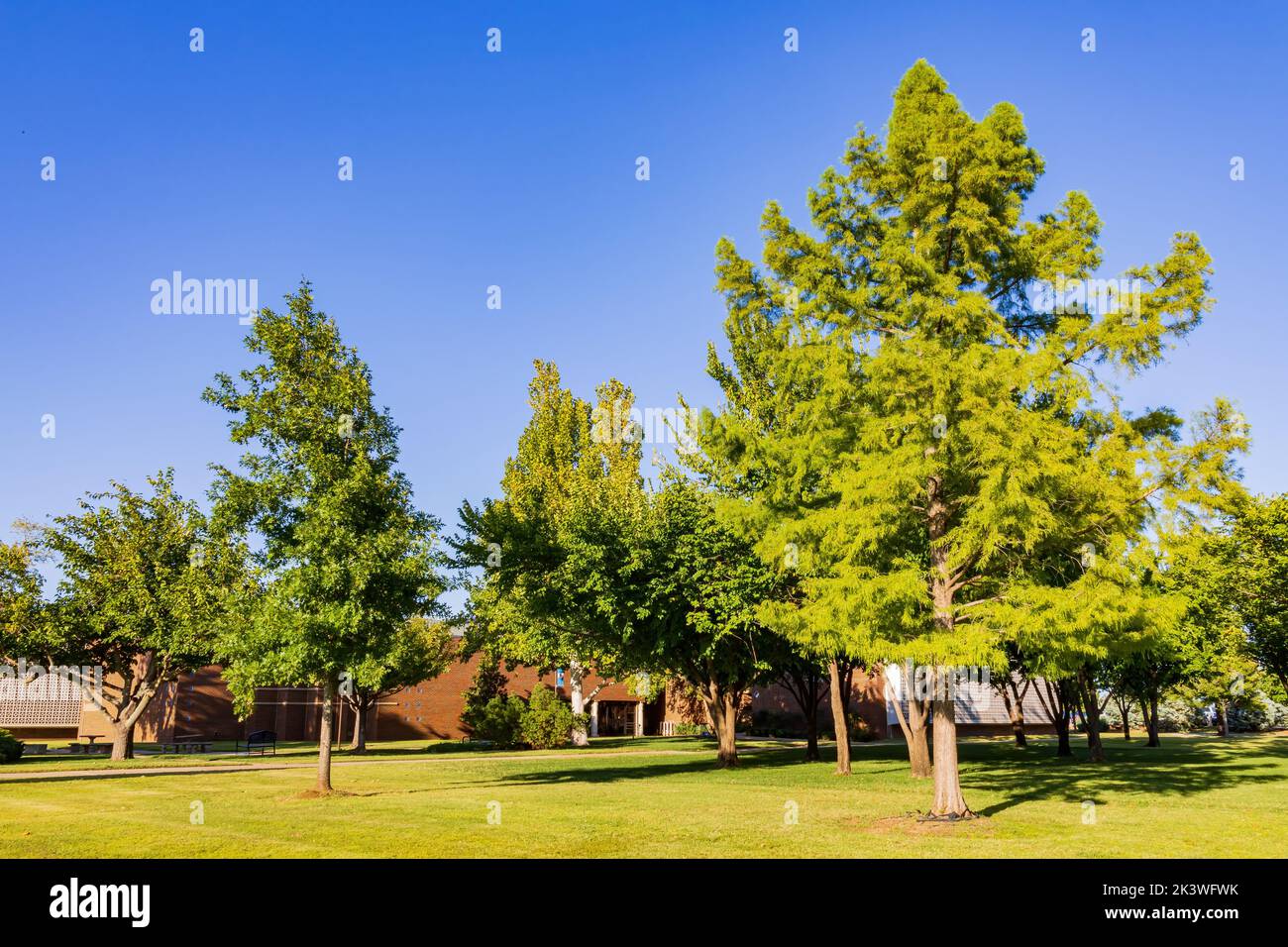 Sonniger Blick auf den Campus der University of Central Oklahoma in Edmond, Oklahoma Stockfoto