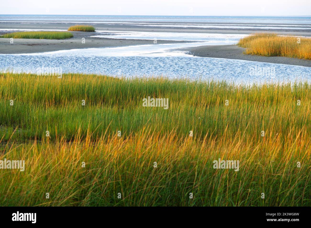 Blick auf Cape Cod Bay vom Paine's Creek in Brewster, Massachusetts auf Cape Cod, USA Stockfoto