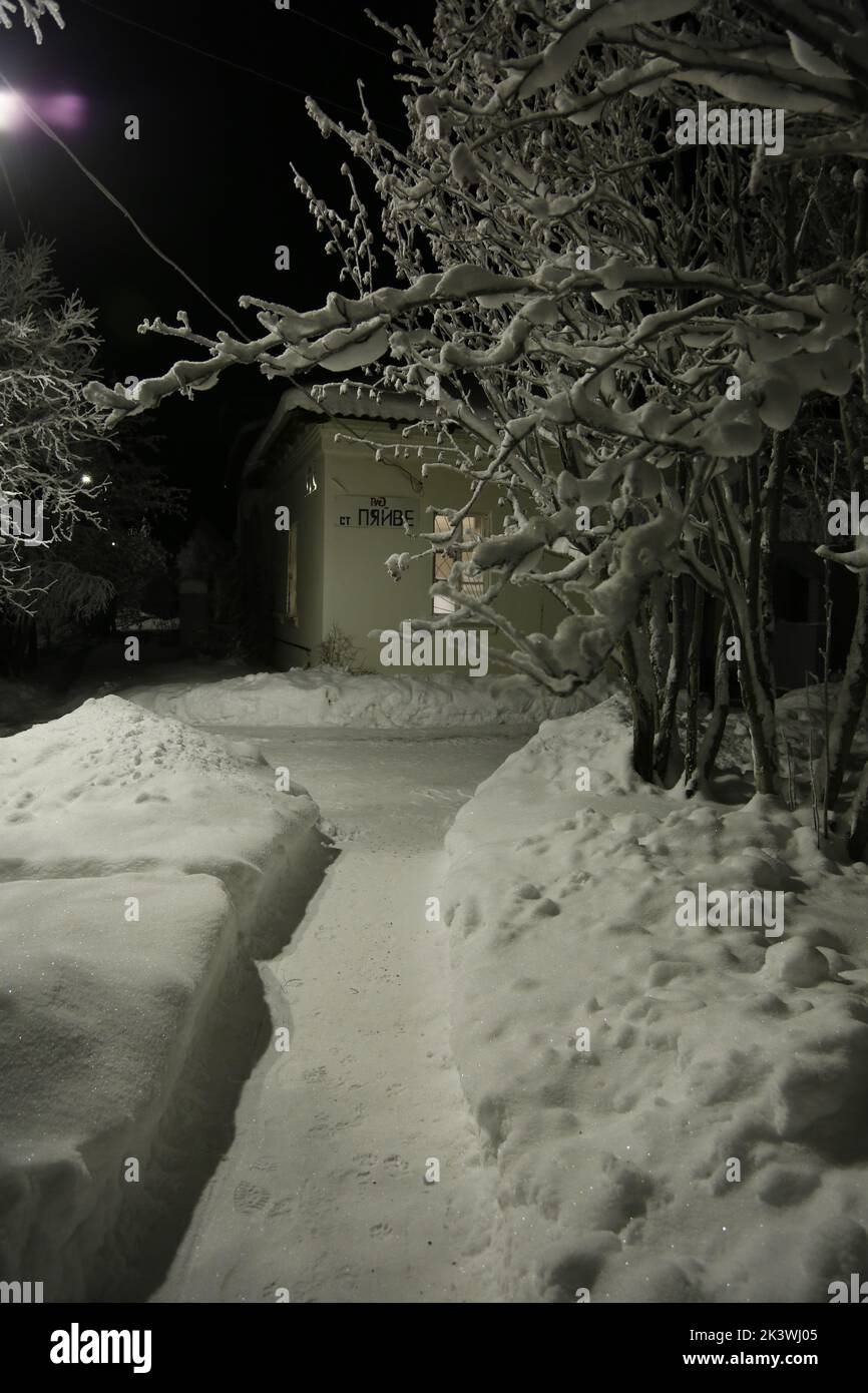 Schneebedeckter Weg zum Bahnhof Pyayve auf dem nördlichsten Personenzug der Welt zwischen Murmansk und Nikel in der Polarnacht; vereister Baum Stockfoto