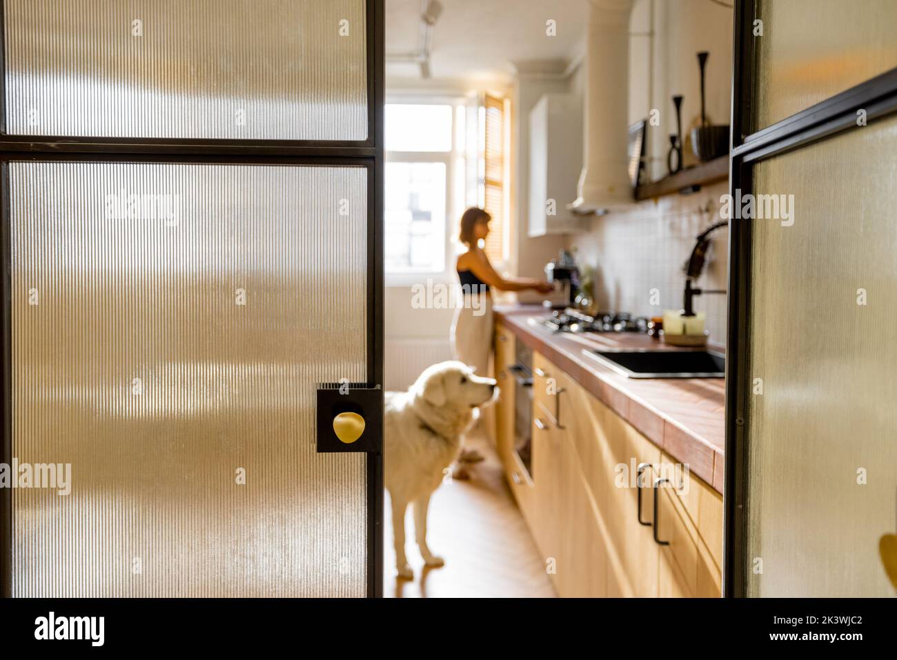 Frau mit Hund in moderner und stilvoller Küche Stockfoto