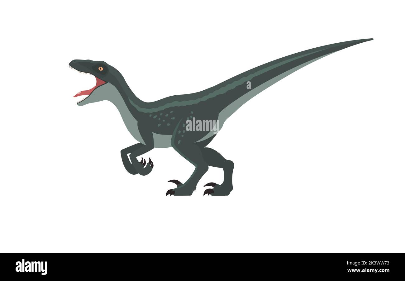 Knurrender Velociraptor. Vektordarstellung eines knarlenden Velociraptor-Dinosauriers, isoliert auf weißem Hintergrund. Flaches Design, Seitenansicht. Stock Vektor