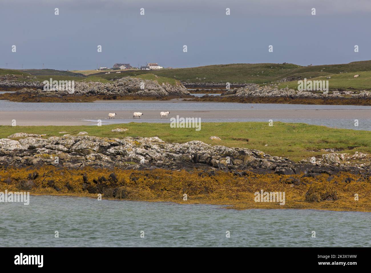 Blick vom North Ford Causeway, der Benbecula und North Uist verbindet, Hebriden, Äußere Hebriden, westliche Inseln, Schottland, Vereinigtes Königreich Stockfoto