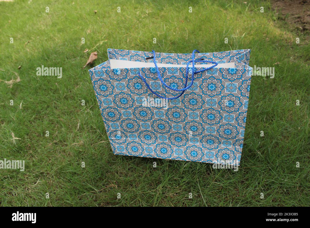 Bunte Papier Einkaufstaschen sind isoliert auf einem grünen natürlichen Hintergrund. Keine Plastiktüten nur umweltfreundliche Taschen. Stockfoto