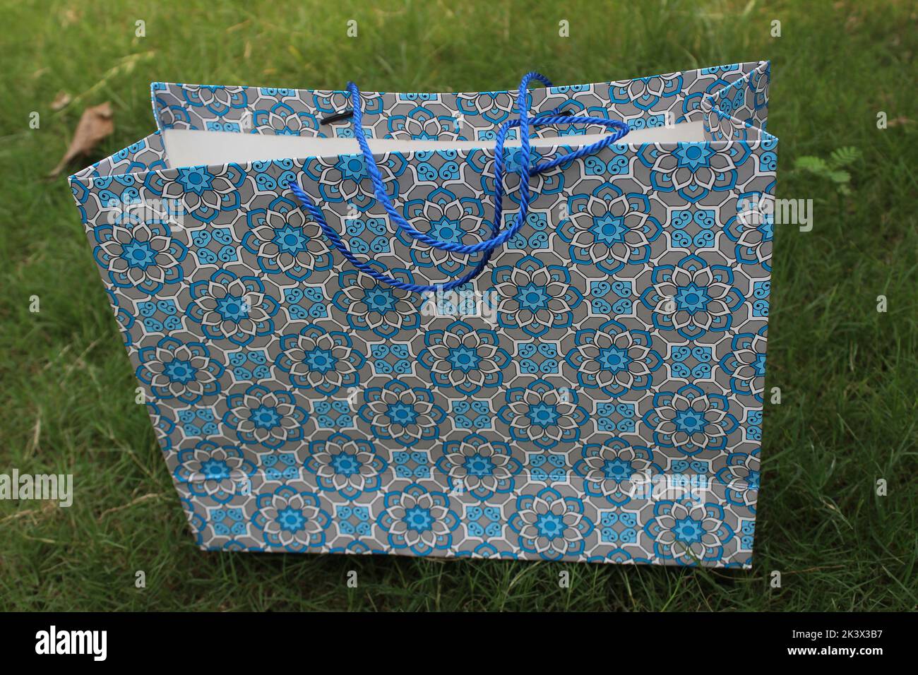 Bunte Papier Einkaufstaschen sind isoliert auf einem grünen natürlichen Hintergrund. Keine Plastiktüten nur umweltfreundliche Taschen. Stockfoto