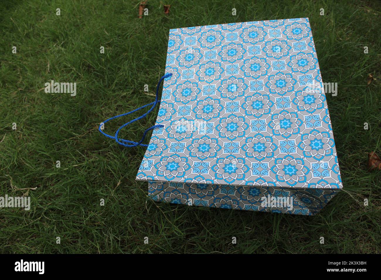 Bunte Papier Einkaufstaschen sind isoliert auf einem grünen natürlichen Hintergrund. Keine Plastiktüten nur umweltfreundliche Taschen. Stockfoto