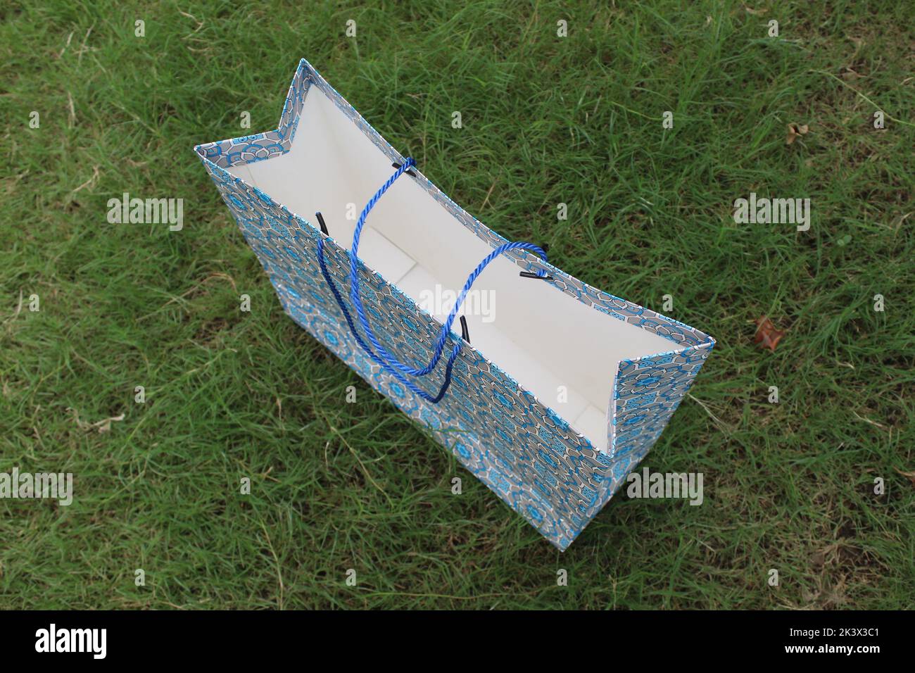 Bunte Papier Einkaufstaschen sind isoliert auf einem grünen natürlichen Hintergrund. Keine Plastiktüten nur umweltfreundliche Taschen. Stockfoto