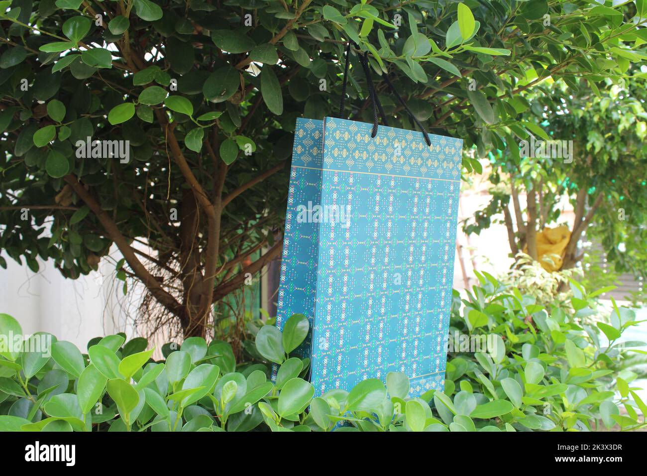 Bunte Papier Einkaufstaschen sind isoliert auf einem grünen natürlichen Hintergrund. Keine Plastiktüten nur umweltfreundliche Taschen. Stockfoto