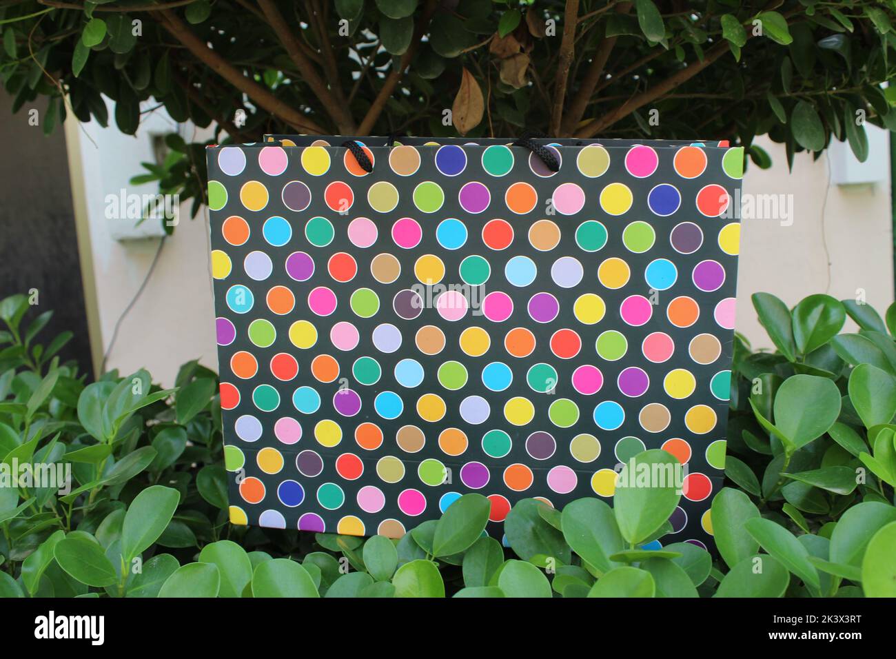 Bunte Papier Einkaufstaschen sind isoliert auf einem grünen natürlichen Hintergrund. Keine Plastiktüten nur umweltfreundliche Taschen. Stockfoto