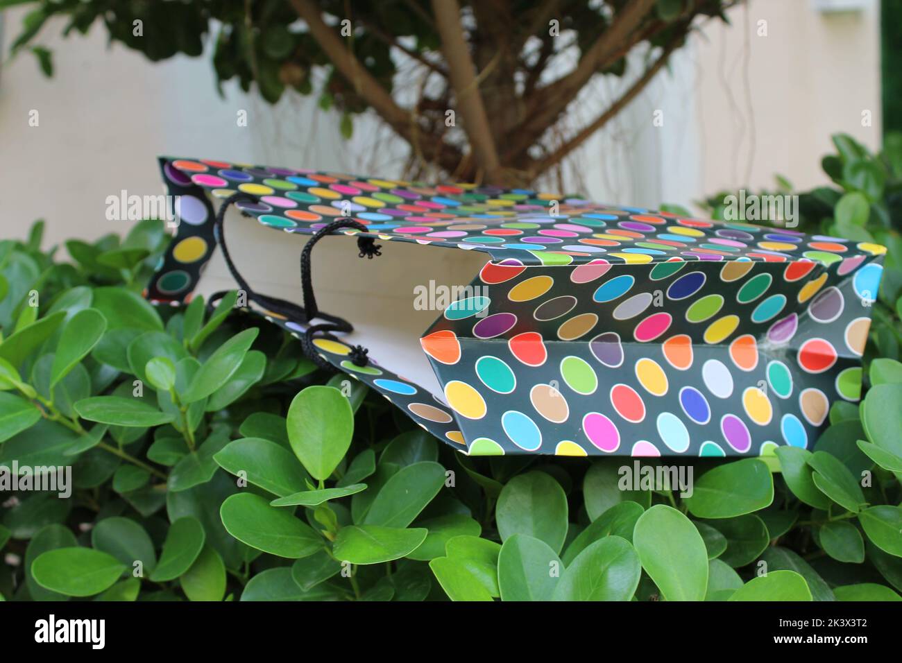 Bunte Papier Einkaufstaschen sind isoliert auf einem grünen natürlichen Hintergrund. Keine Plastiktüten nur umweltfreundliche Taschen. Stockfoto