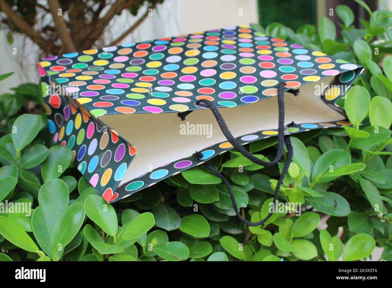 Bunte Papier Einkaufstaschen sind isoliert auf einem grünen natürlichen Hintergrund. Keine Plastiktüten nur umweltfreundliche Taschen. Stockfoto