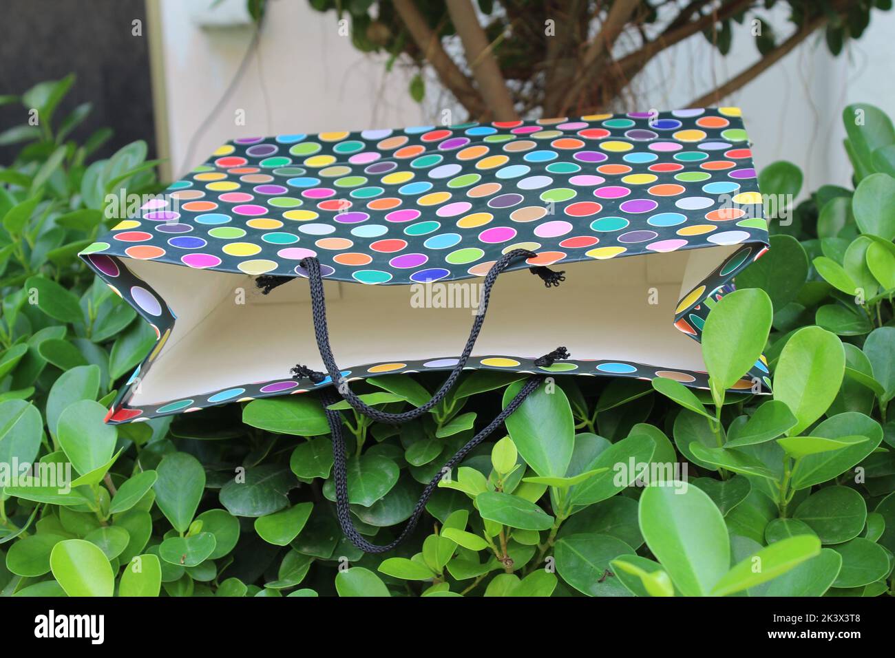 Bunte Papier Einkaufstaschen sind isoliert auf einem grünen natürlichen Hintergrund. Keine Plastiktüten nur umweltfreundliche Taschen. Stockfoto
