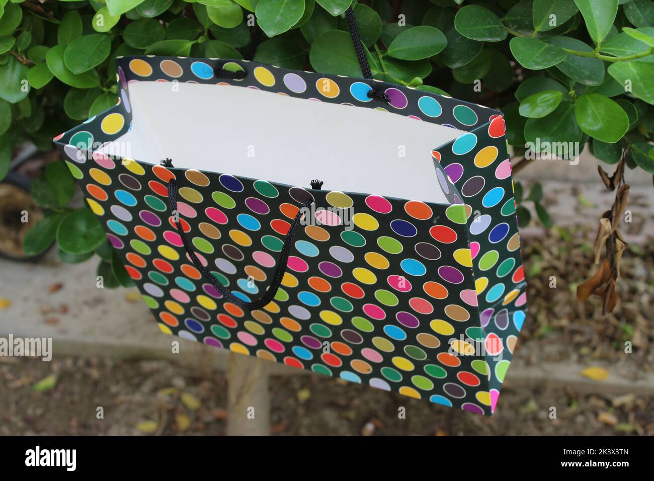 Bunte Papier Einkaufstaschen sind isoliert auf einem grünen natürlichen Hintergrund. Keine Plastiktüten nur umweltfreundliche Taschen. Stockfoto