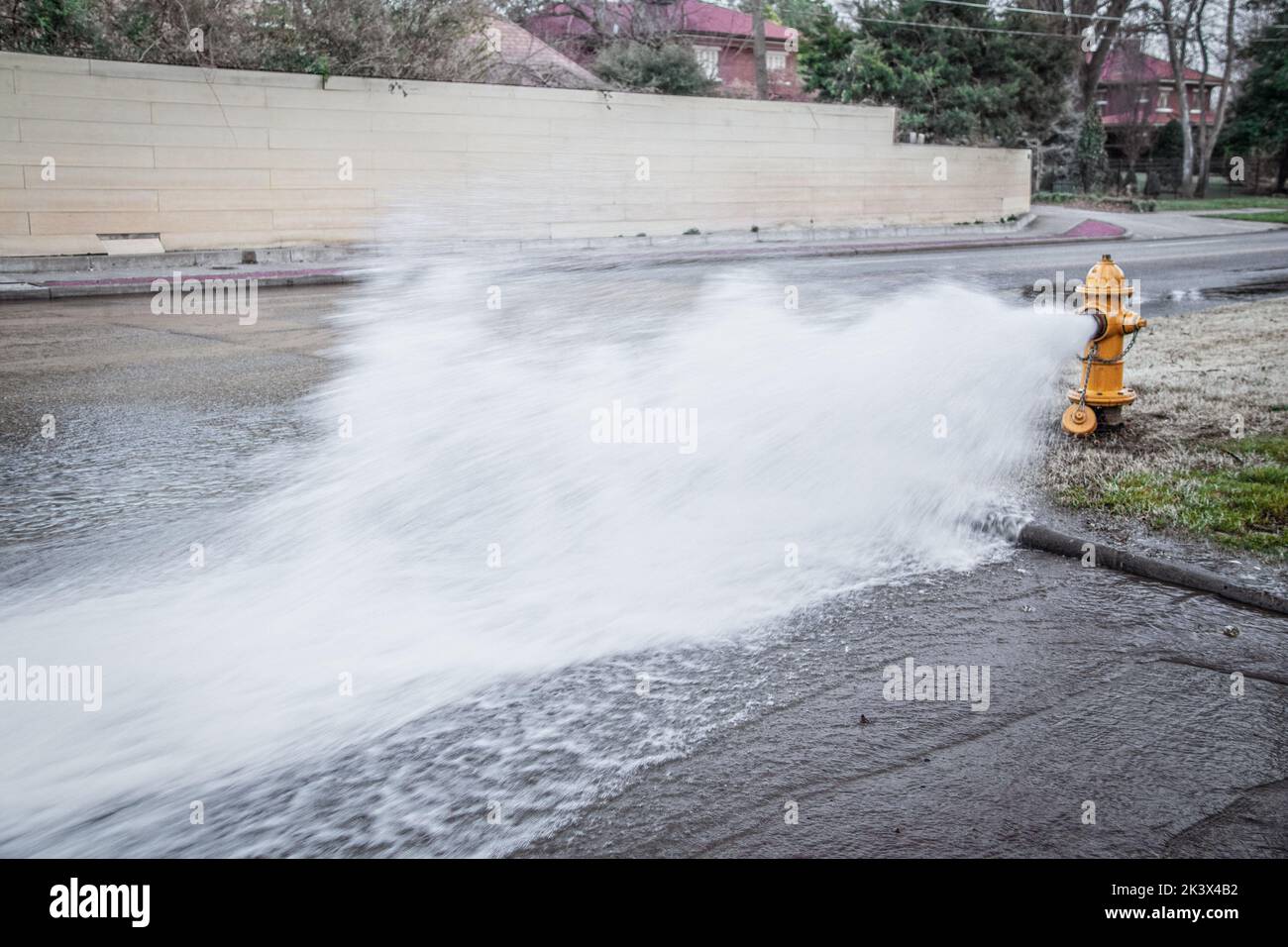 Gelber Hydrant an der Ecke der Kreuzung, der Wasser über die Straße mit großen Häusern und Bäumen im Hintergrund abgibt Stockfoto