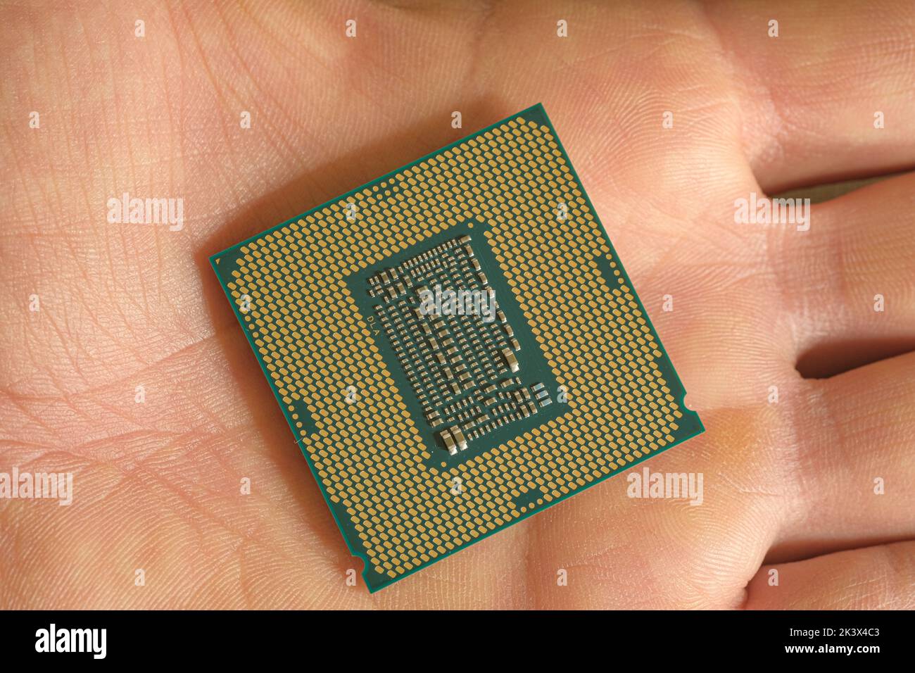 Mann hält einen Hi-Tech-Desktop-pc-cpu-Teil, Computer-Komponenten-Chip Mangel Stockfoto