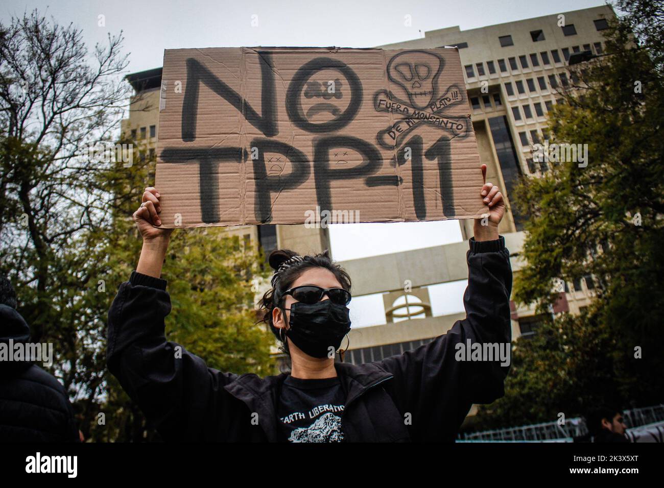 Valparaiso, Chile. 28. September 2022. Ein Protestler hält während der Demonstration ein NEIN zu TPP-11 Plakat. DIE DEMONSTRATION „NEIN zu TPP-11“ (umfassender und progressiver Vertrag über die Transpazifische Partnerschaft) fand vor dem Nationalkongress in Valparaiso, Chile, statt. Kredit: SOPA Images Limited/Alamy Live Nachrichten Stockfoto