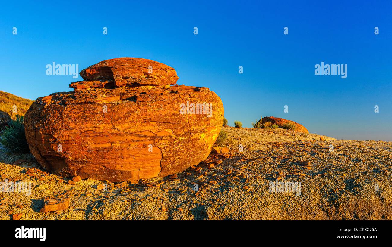 Eine große sphärische Sandsteinbetonung, die vor dem verwitterten Ton im Red Rock Coulee Natural Area im Süden Albertas freigelegt wurde Stockfoto