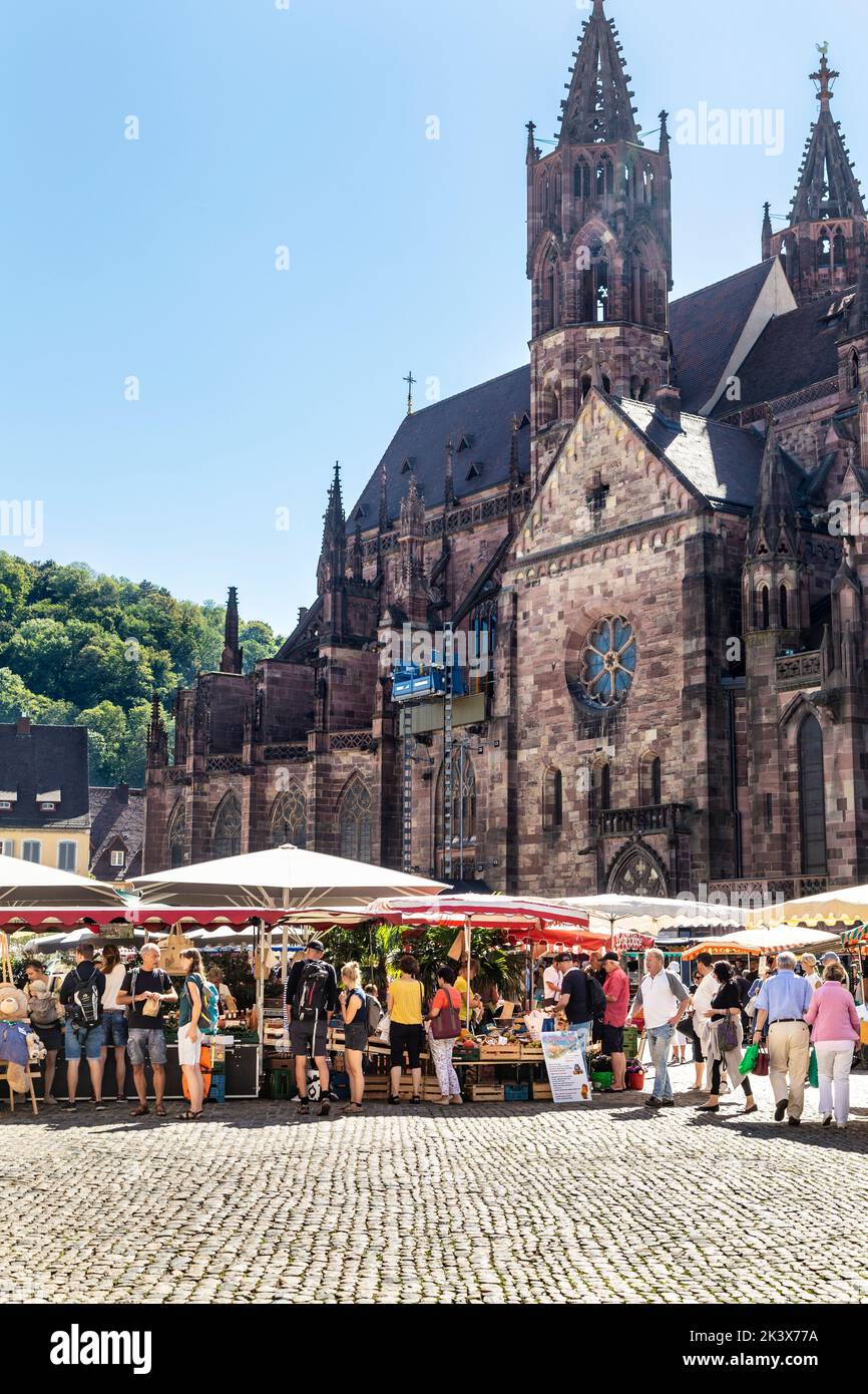 Geschäftiges Münstermarktgeschäft am Münsterplatz mit dem gotischen Freiburger Münster im Hintergrund, Freiburg im Breisgau, Deutschland Stockfoto