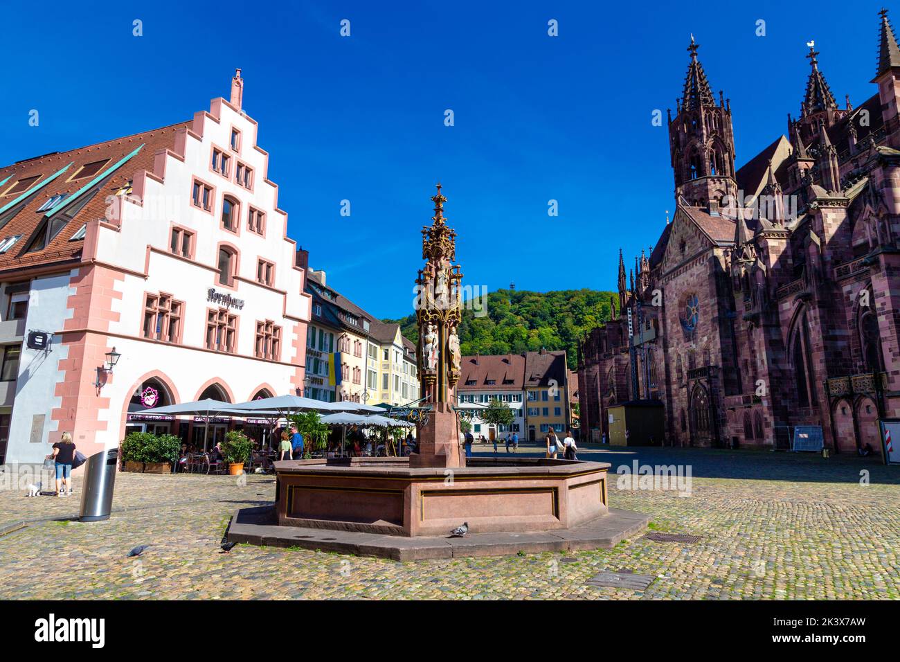 Fischbrunnen am Münsterplatz mit dem gotischen Freiburger Münster im Hintergrund, Freiburg im Breisgau, Deutschland Stockfoto